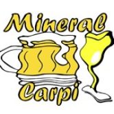 Mineral Carpi